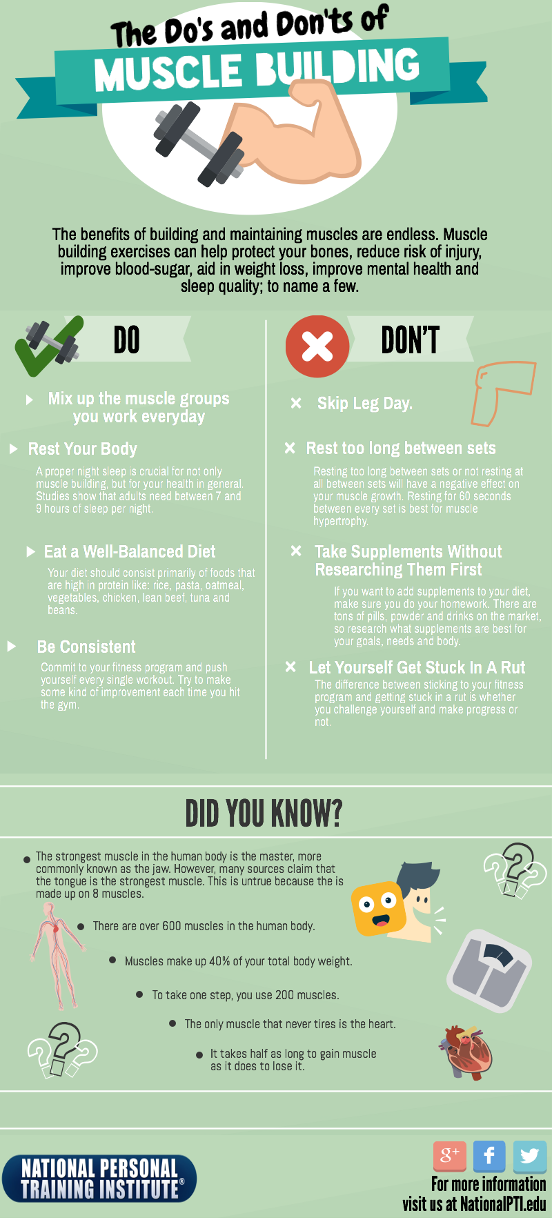 The Do's and Don'ts of Muscle Building (Infographic) - NPTI