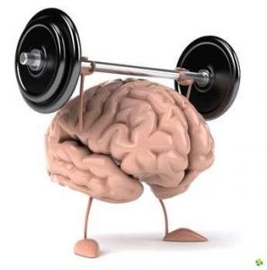 What is Muscle Memory?- NPTI Fitness 