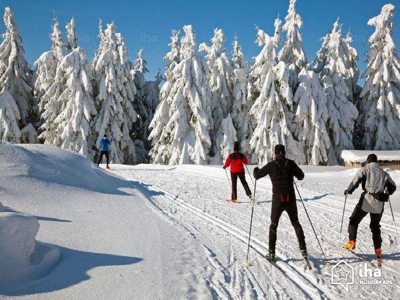 cross-country-skiing